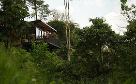 Reverie Hotel